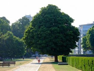 Park Brussel