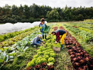 biologisch tuinieren landbouw