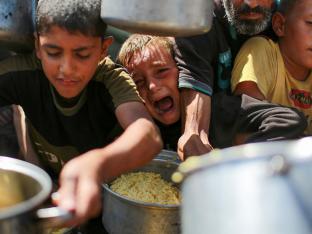 gaza