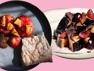 recettes vegetale aurelia d hollander frondes