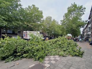 Bomen Deurne