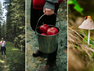 activités automne belgique