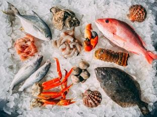 restaurants de poisson Belgique