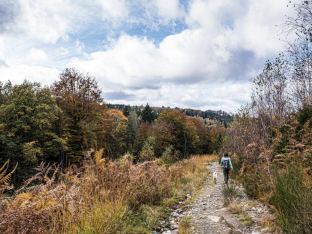 Ces 5 balades donnent envie de profiter de l'automne en Wallonie - SDP