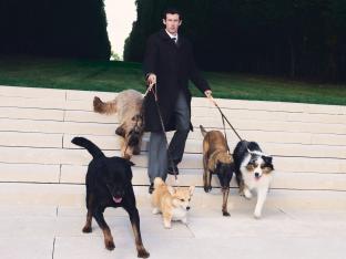 Louis Vuitton dévoile une collection pour chiens irrésistible - SDP