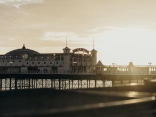 david shrigley brighton