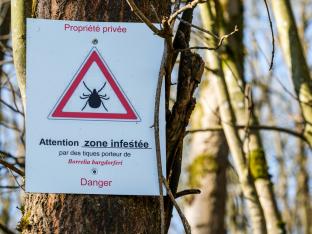zone infestée de tiques