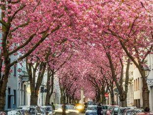 fietssteden lente