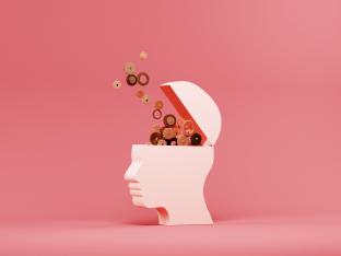 Cerveau