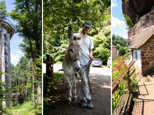 Activités Vosges du Nord