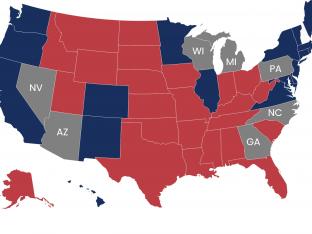 Les swing states de l'élection présidentielle américaine de 2024