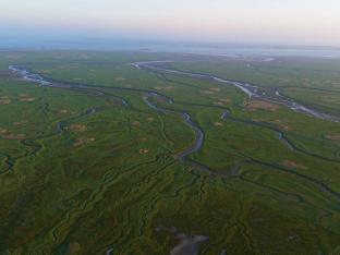 Verdronken Land van Saeftinghe