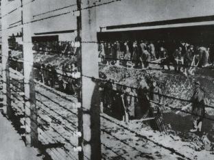 Slavenarbeid in kamp Auschwitz