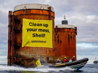 Greenpeace Natuurpunt