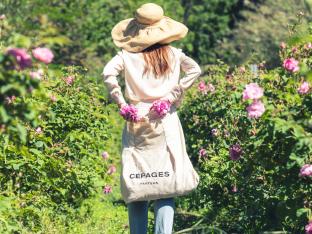 Cépages parfums