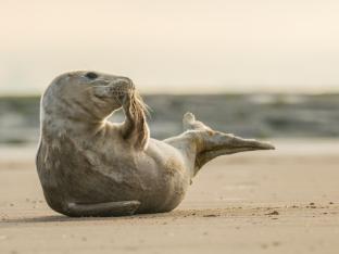 Noordzee