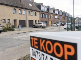 immobilier flamands