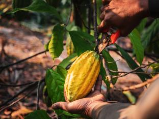 financement fonds développement agréés