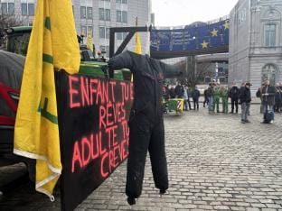 Anne-Catherine Dalcq