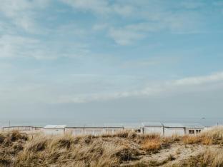 Duinen