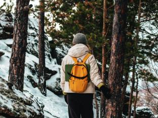 wandeling ardennen in de sneeuw