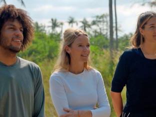 de mol