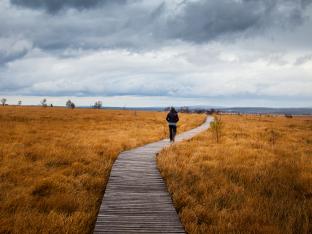 Wandelingen België