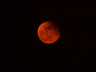bloedmaan 7 september