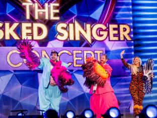 the masked singer in concert