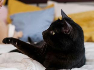 speelgoed binnenkat