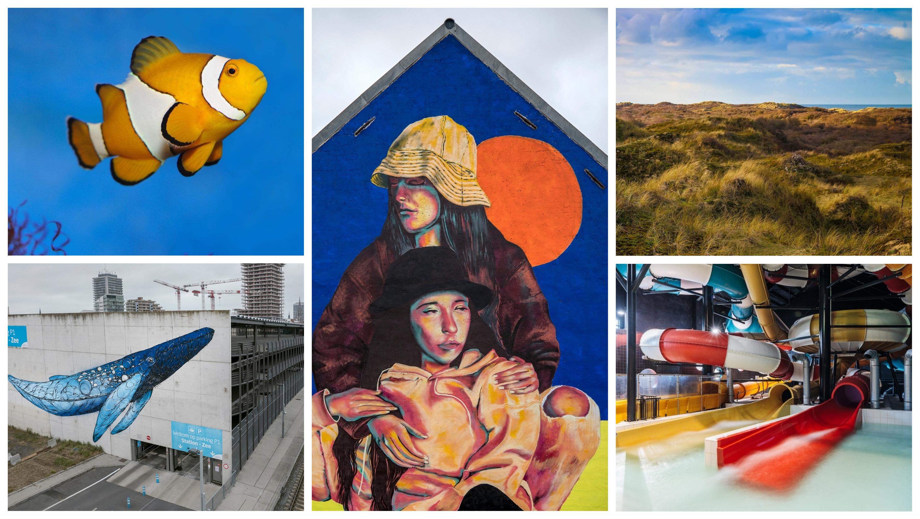 Côte belge que faire à la mer quand il pleut? Gael.be