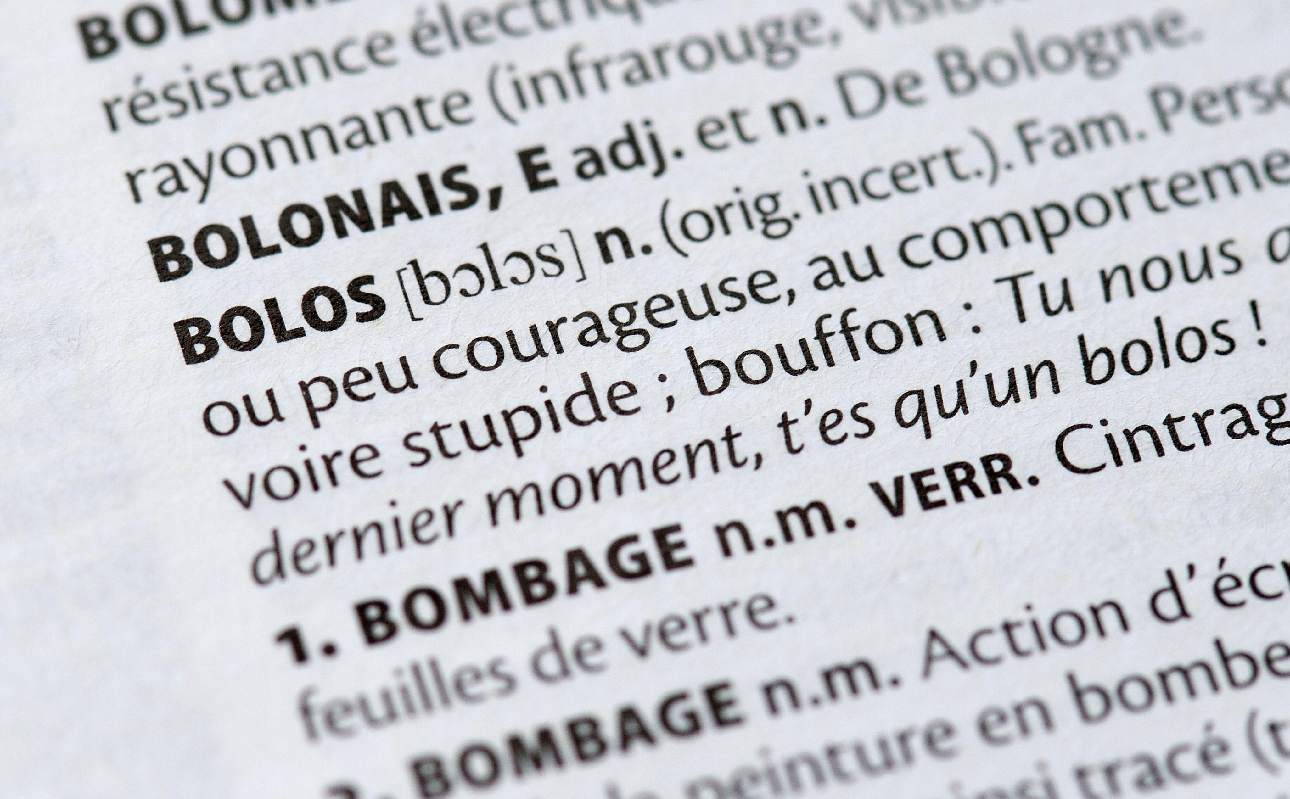 Voici les nouveaux mots qui entrent dans le Larousse