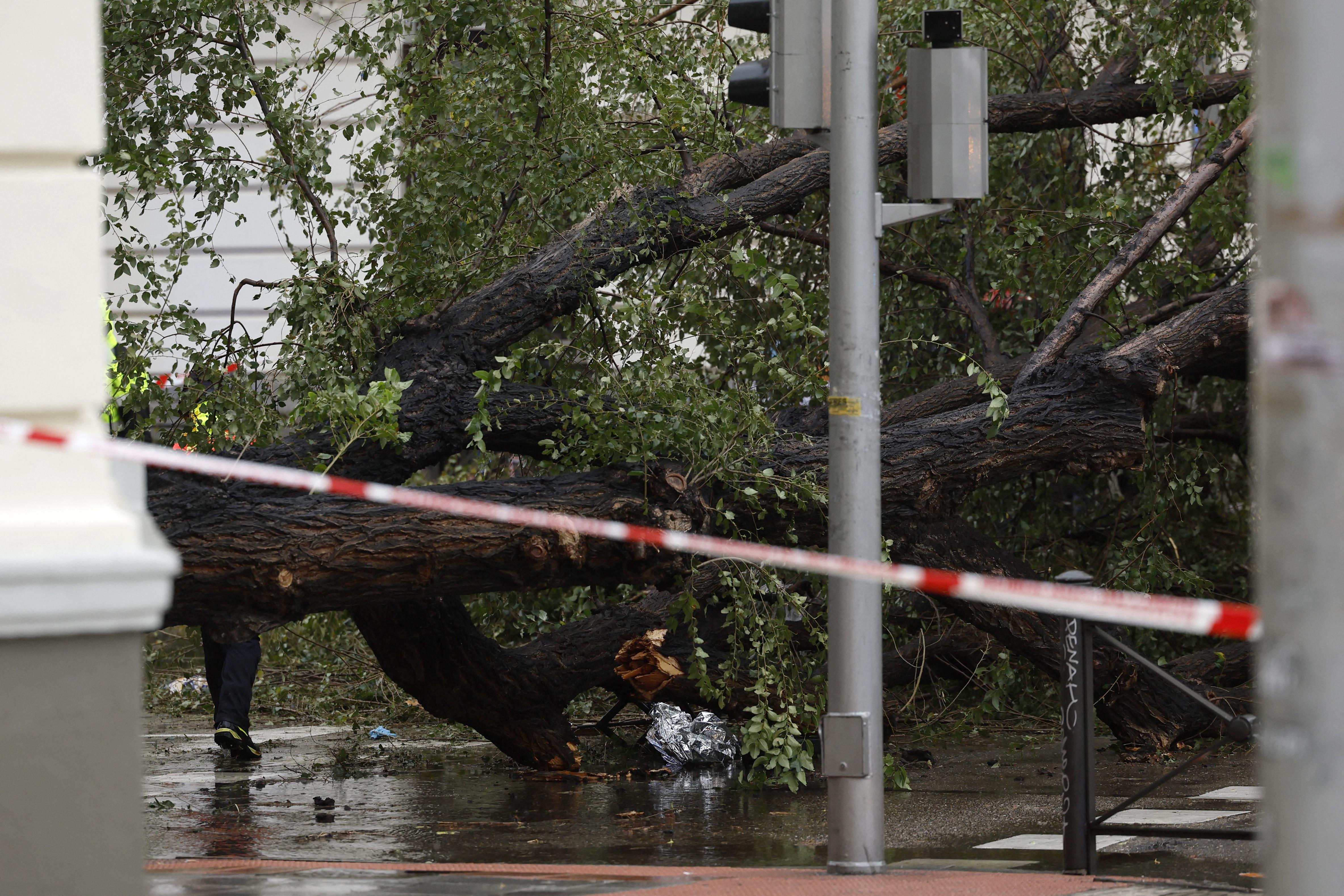 Tempête Ciaran : ce que l'on sait de l'accident mortel d'un