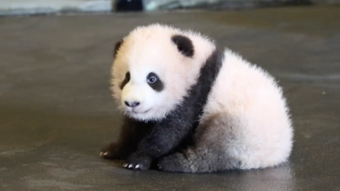 Img Static Rmg Be A View Q75 W480 H270