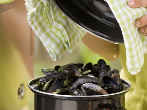 mosselen schoonmaken drijven mosselen schoonmaken drijven