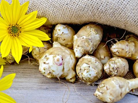 aardpeer bloemen