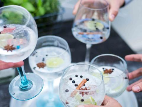 In 5 stappen naar de perfecte gin-tonic