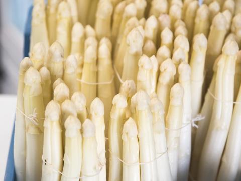 aspergeweetjes