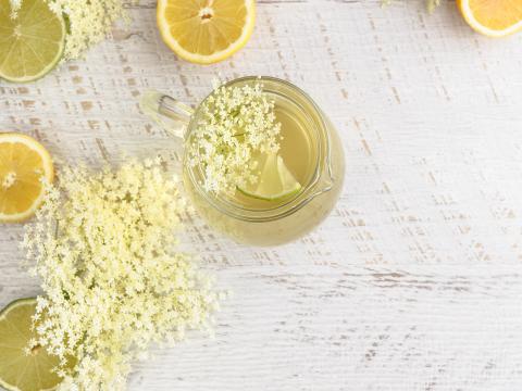 Elderflower syrup with a slice of lemon. Top view with copy space; Shutterstock ID 416342287; Projectnummer: B09773 ; Uitgave: Libelle Lekker; Traffic: Rien Delvaux; Anders: /