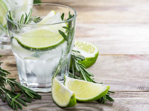 10 zelfgekweekte kruiden om je gin tonic te pimpen