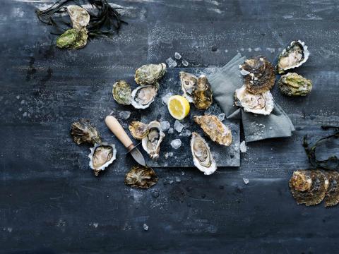 Parels van oesters