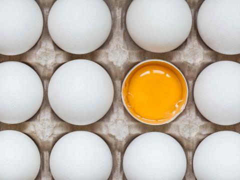 9 interessante weetjes over eieren