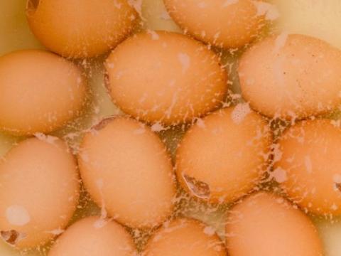 Zo bak je heerlijke cakejes in eierschalen voor Pasen