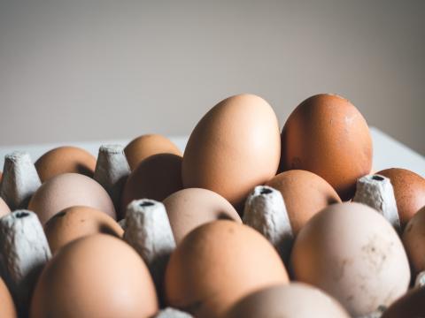 Comment savoir si vos œufs sont frais ou périmés ? - FreshMAG