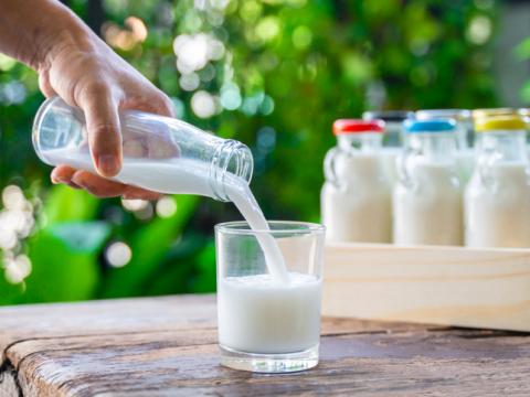 Welke plantaardige melk is geschikt voor welk gerecht?