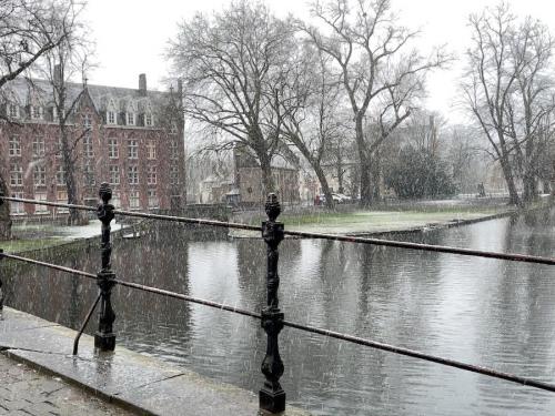 Het Minnewater in Brugge.© JVM