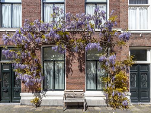 Arch of purple wisteria color flowers cover the facade, front door of a building under a spring shiny sun light