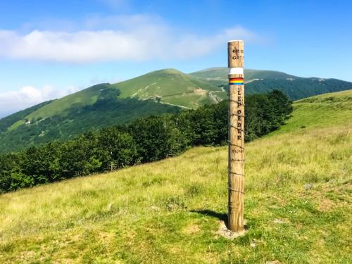 Sign of the Col de Lepoeder on the French way (Camino Frances). Pyrenees, Spain