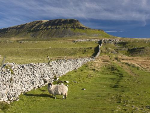 Pen Y Ghent hill , In The Yorkshire Dales , UK