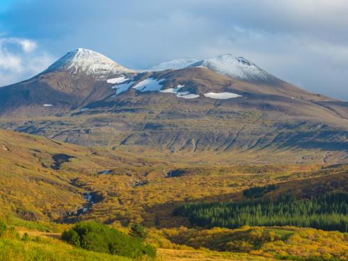 Landscape with some tall mountains and forests at the the rear end of the HvalfjÃ¶oÃ°ur and start of the hike to the waterfall Glymur, Western Iceland